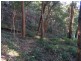 Wheeny Creek NSW 2758