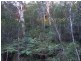 Wheeny Creek NSW 2758