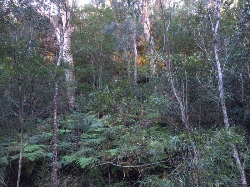 Wheeny Creek NSW 2758