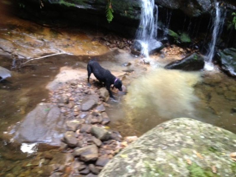 Kurrajong Hills NSW 2758