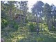 Lower Mangrove NSW 2250