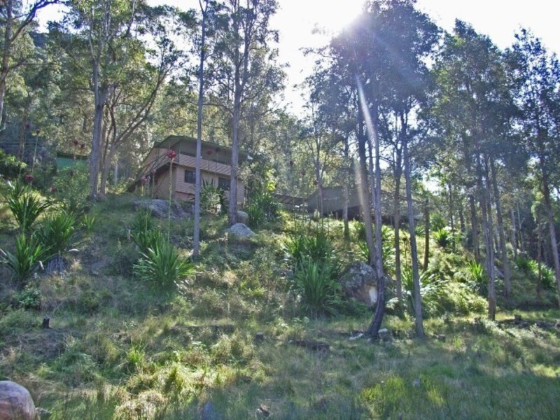 Lower Mangrove NSW 2250
