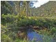 Lower Mangrove NSW 2250