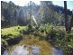 Lower Mangrove NSW 2250