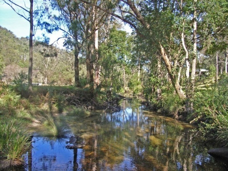 Lower Mangrove NSW 2250