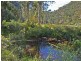 Lower Mangrove NSW 2250