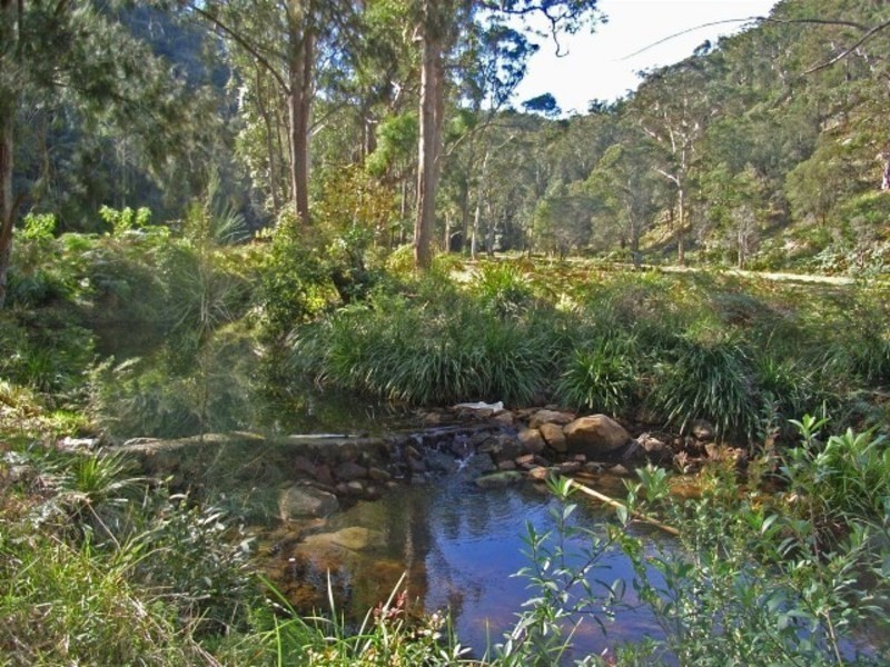 Lower Mangrove NSW 2250