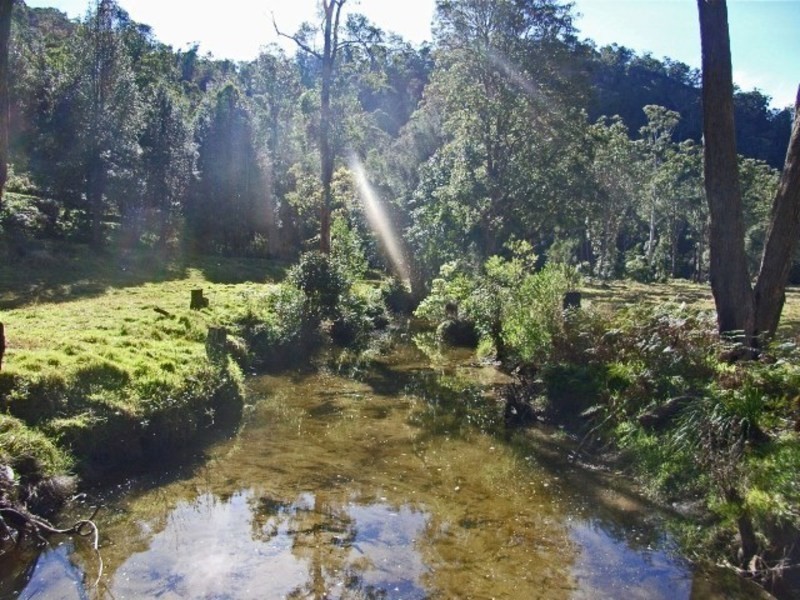 Lower Mangrove NSW 2250