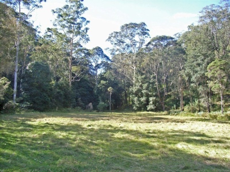 Lower Mangrove NSW 2250