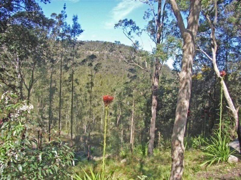 Lower Mangrove NSW 2250