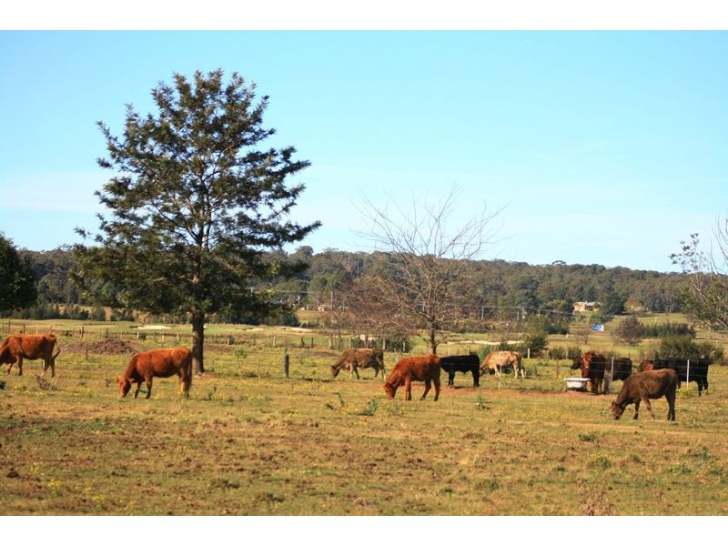 Pitt Town Bottoms NSW 2756