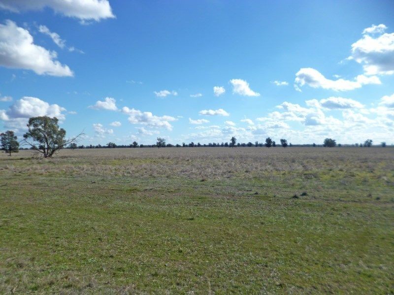Condobolin NSW 2877