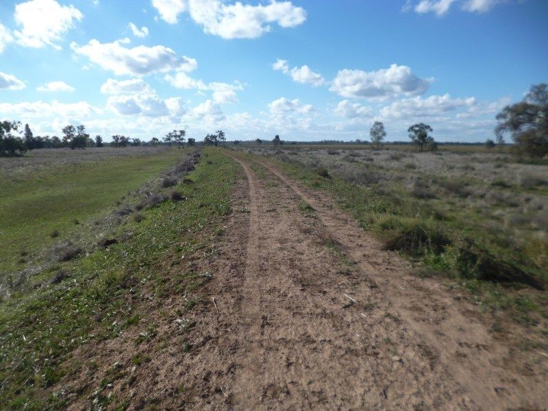Condobolin NSW 2877
