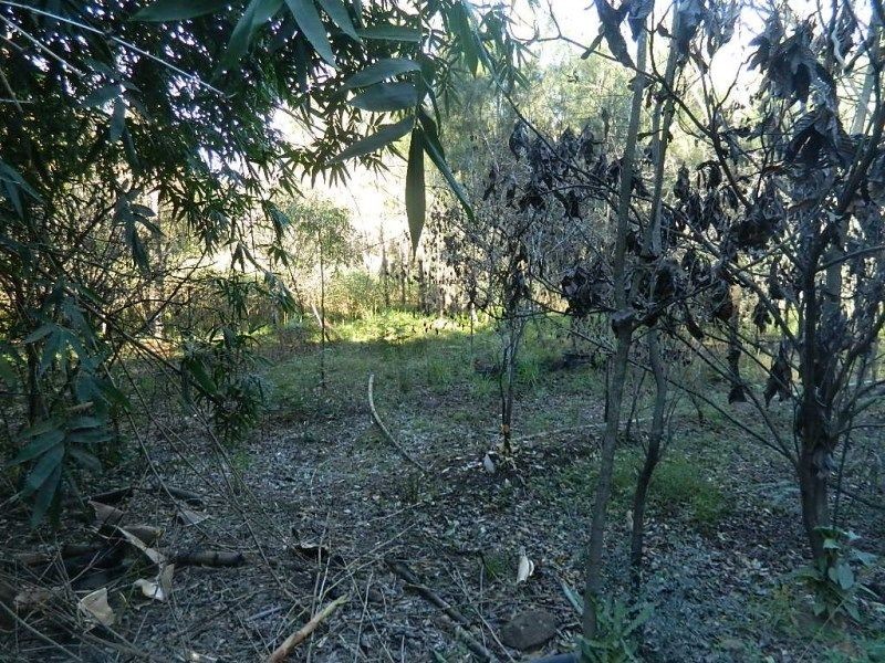 Wisemans Ferry NSW 2775