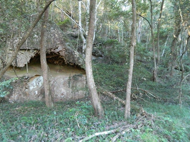 Lower Macdonald NSW 2775