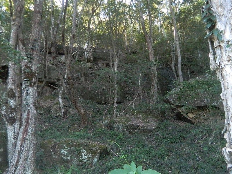 Lower Macdonald NSW 2775