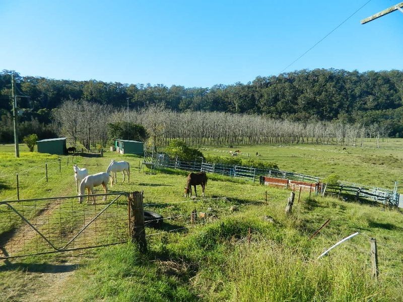 Lower Macdonald NSW 2775