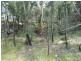 Wisemans Ferry NSW 2775