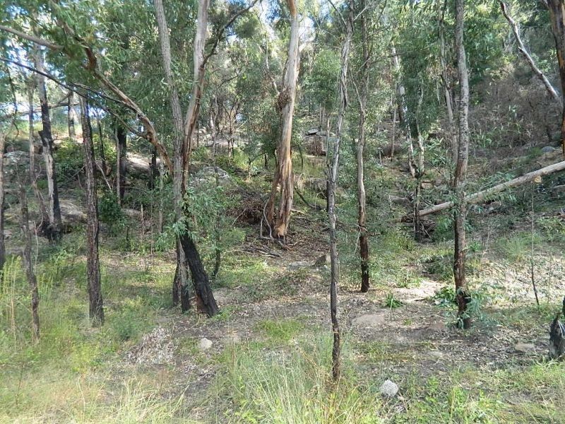 Wisemans Ferry NSW 2775