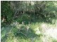 Wisemans Ferry NSW 2775