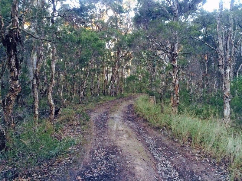 Agnes Banks NSW 2753