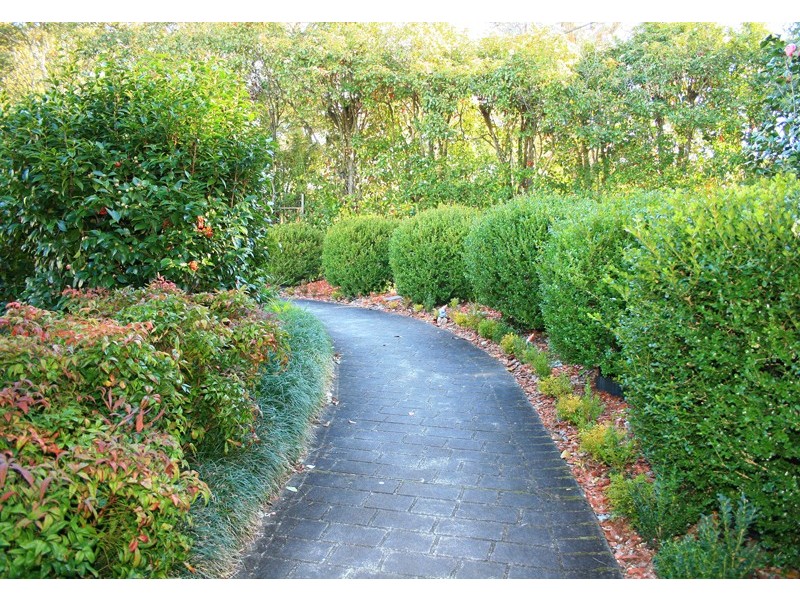 1198 Bells Line of Road, Kurrajong Heights NSW 2758
