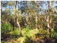 Cattai NSW 2756