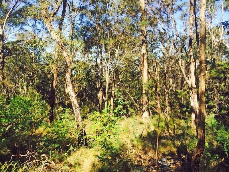 Cattai NSW 2756