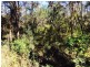 Cattai NSW 2756