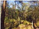 Cattai NSW 2756