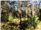Cattai NSW 2756