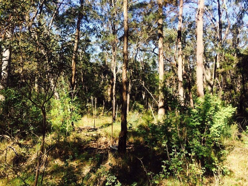 Cattai NSW 2756