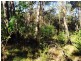 Cattai NSW 2756