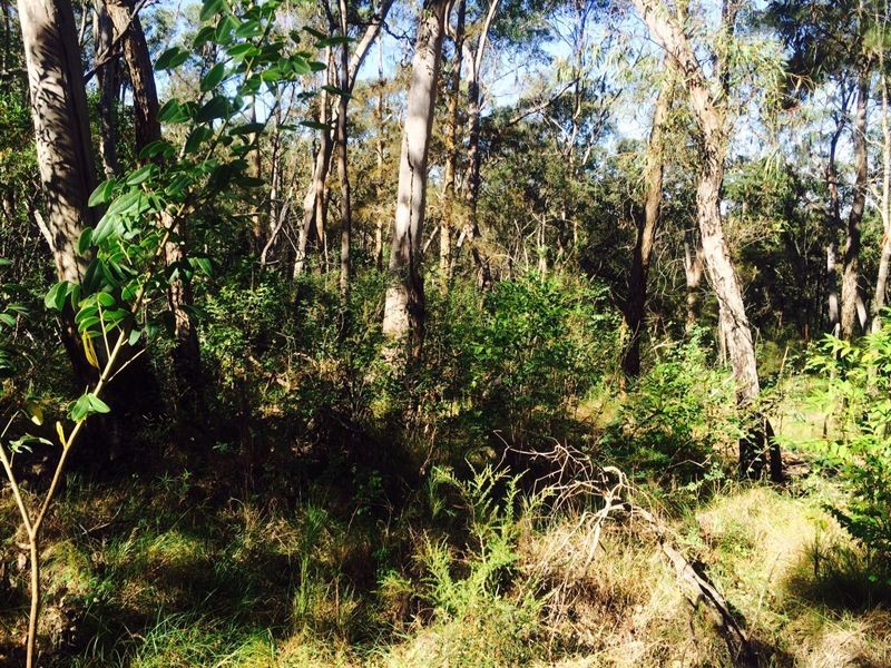 Cattai NSW 2756