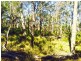 Cattai NSW 2756
