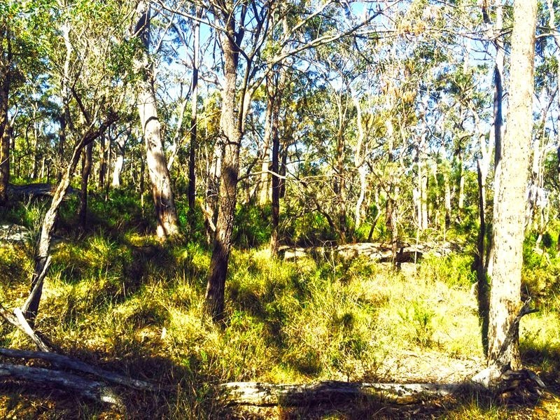 Cattai NSW 2756
