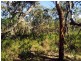 Cattai NSW 2756