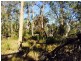 Cattai NSW 2756