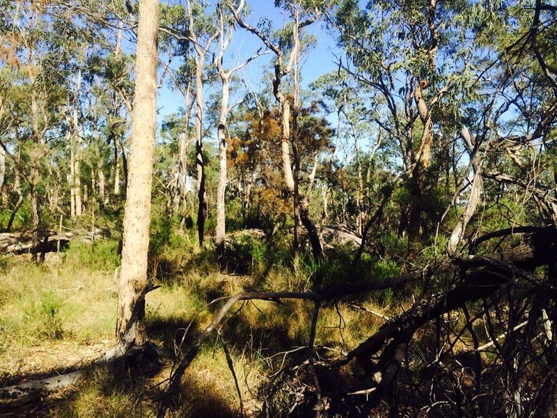 Cattai NSW 2756