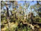 Cattai NSW 2756
