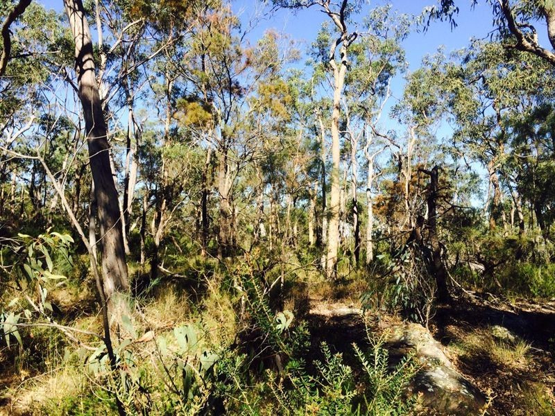 Cattai NSW 2756