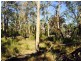 Cattai NSW 2756