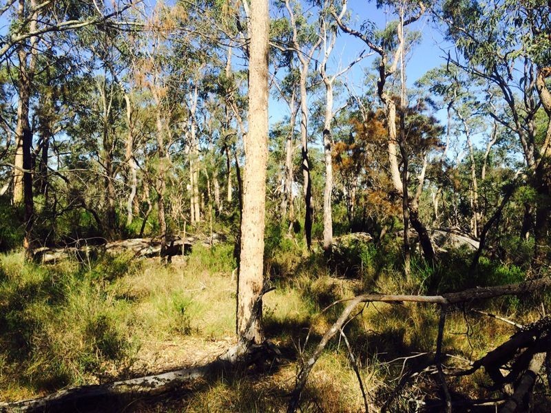 Cattai NSW 2756
