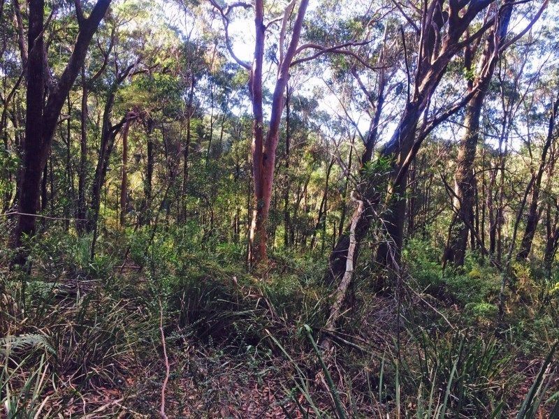 Kurrajong Heights NSW 2758