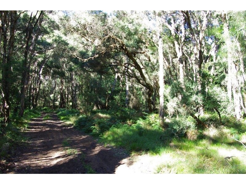 Blaxlands Ridge NSW 2758