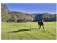Central Macdonald NSW 2775