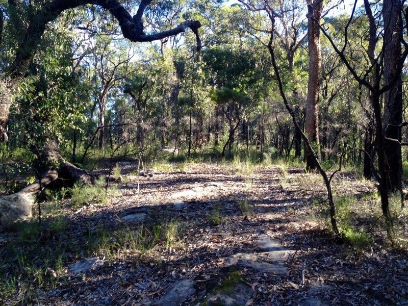 Lower Portland NSW 2756