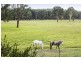 Wilberforce NSW 2756