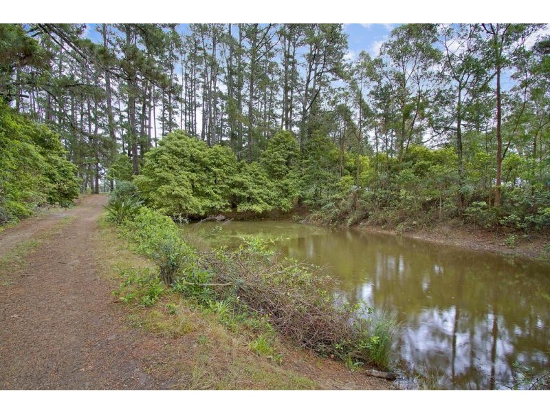 2613 Bells Line Of Road, Bilpin NSW 2758