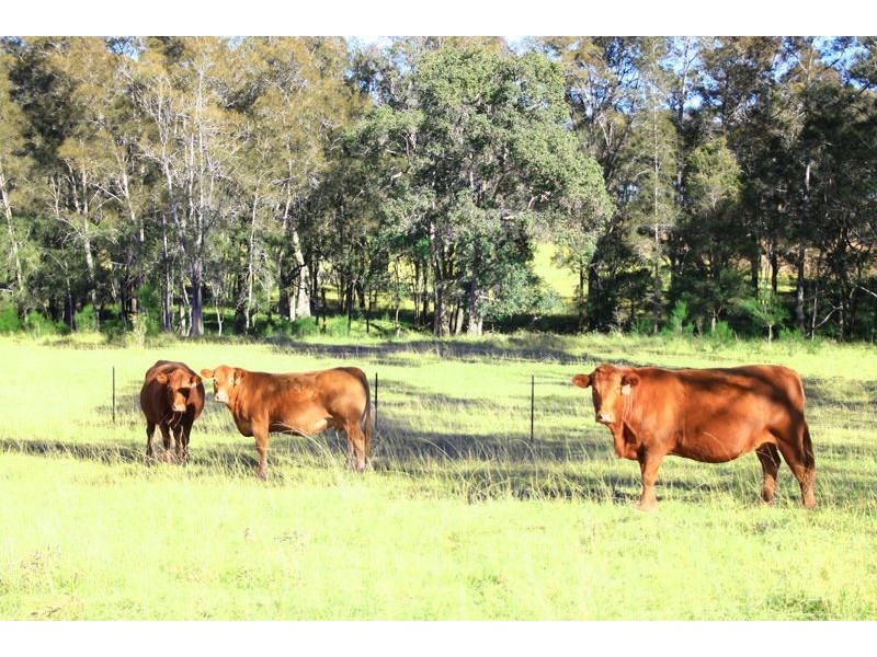 Mulgoa NSW 2745